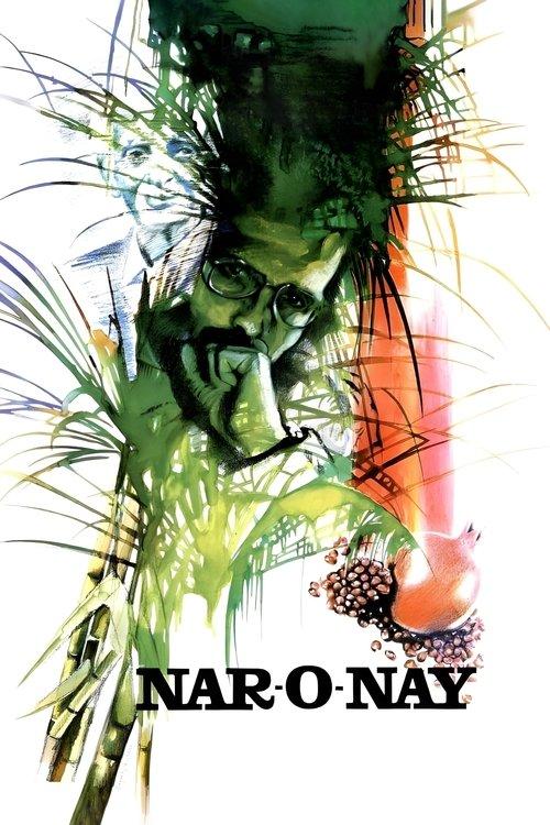 Pomegranate and Cane film afişi