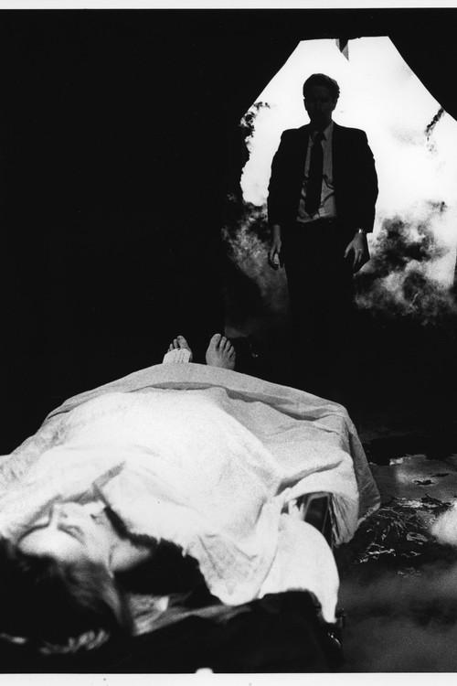 She's So Cold film afişi