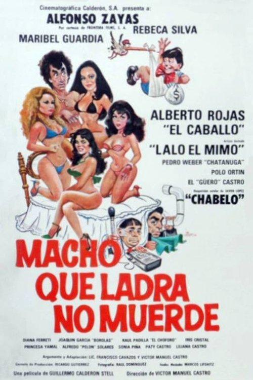 Macho que ladra no muerde film afişi