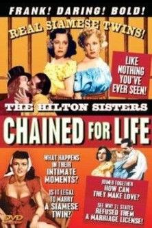 Nacht ohne Abschied film afişi