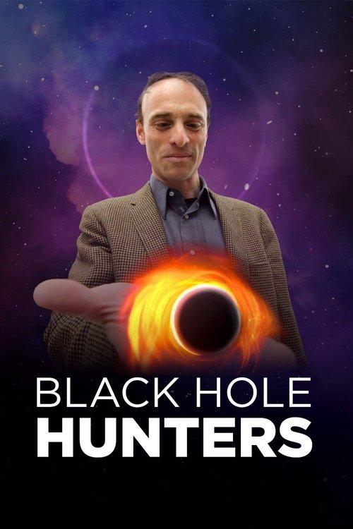 Black Hole Hunters film afişi