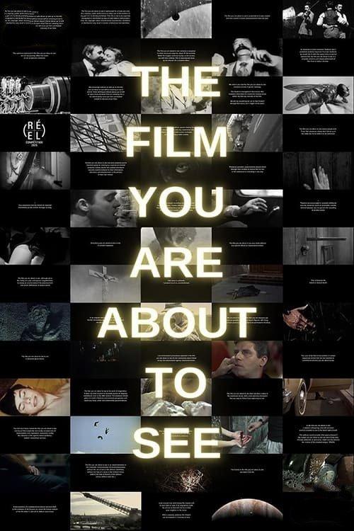 The Film You Are About to See film afişi