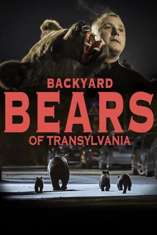 Backyard Bears of Transylvania film afişi