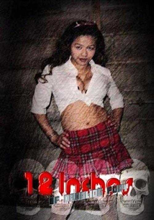 12 Inches of Dangling Fury film afişi