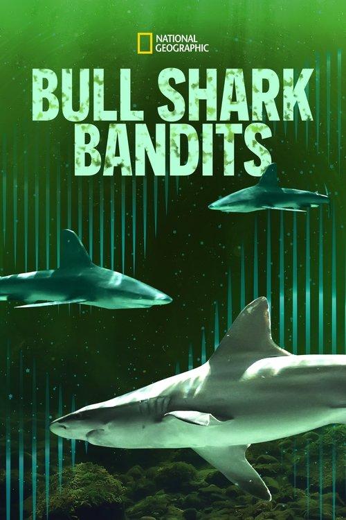 Bull Shark Bandits film afişi