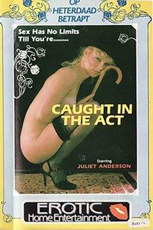 The Tender Trap film afişi