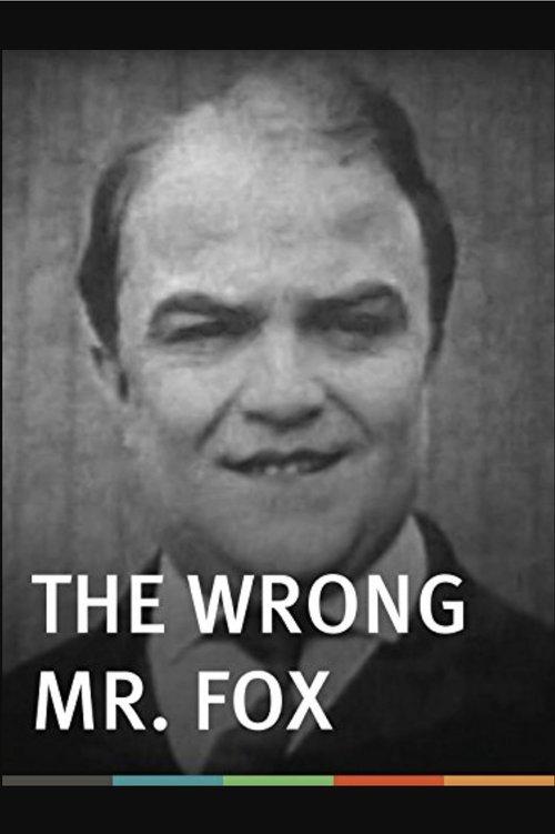 The Wrong Mr. Fox film afişi