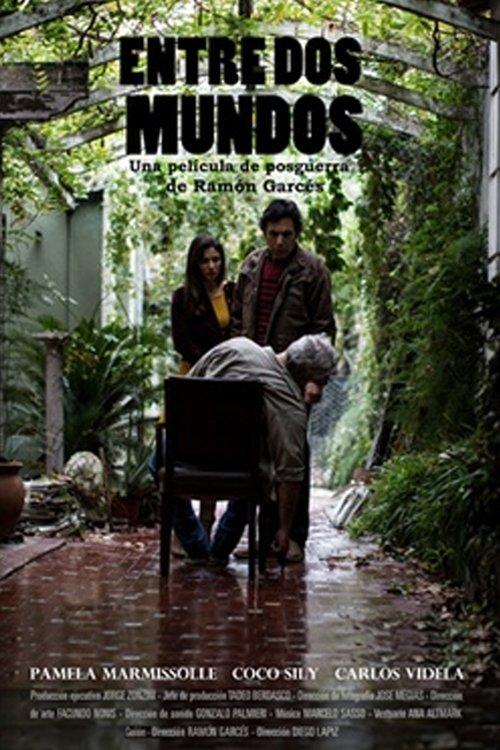 Entre dos mundos film afişi
