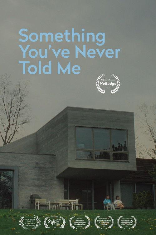 Something You've Never Told Me film afişi