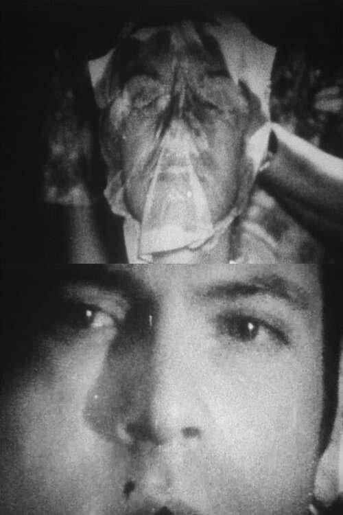 Organics film afişi