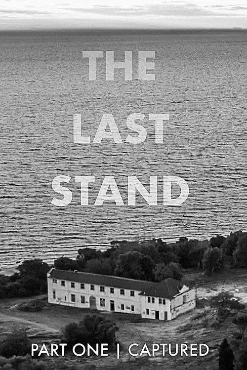 THE LAST STAND | (Chrome Edition) film afişi