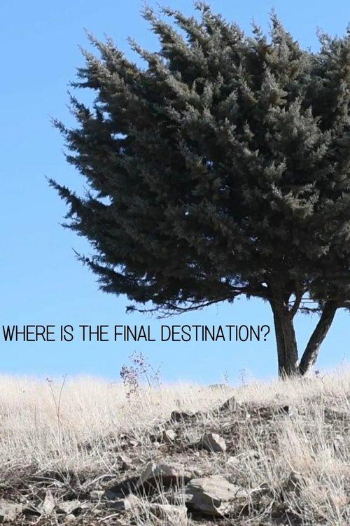 Where is the Final Destination? film afişi