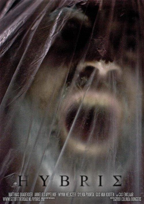 Hybris film afişi