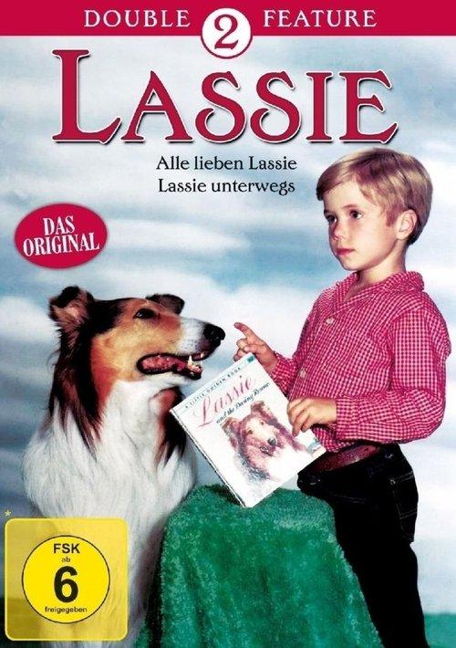 Lassie, the Voyager film afişi