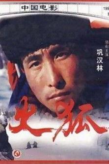 Sparkling Fox film afişi