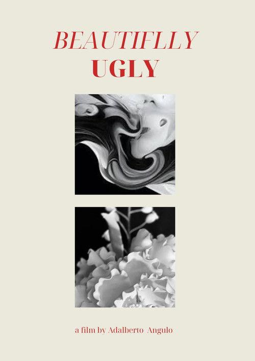 Beautifully Ugly film afişi