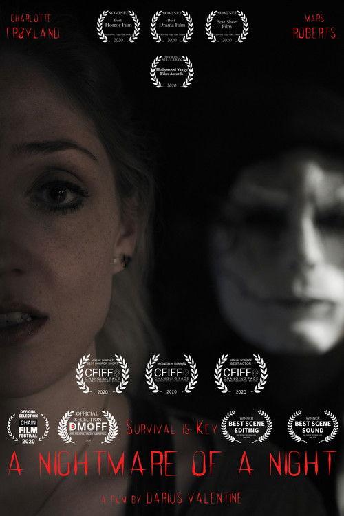 A Nightmare of a Night film afişi