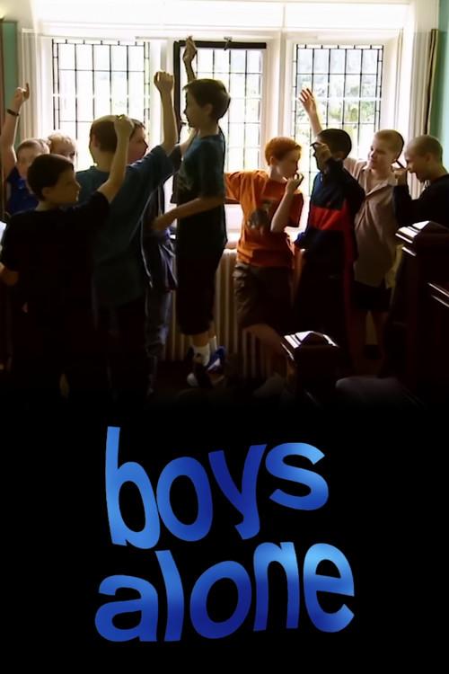 Boys Alone film afişi