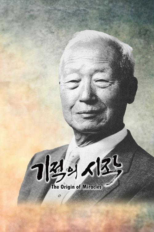 The Origin of Miracles film afişi