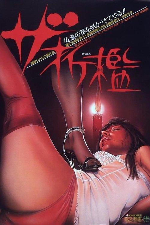 Za Sekkan film afişi