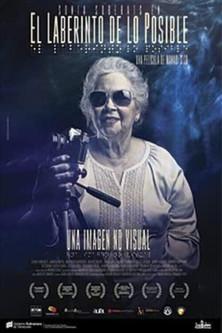 El laberinto de lo posible film afişi