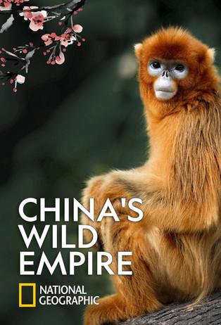 China's Wild Empire dizi afişi