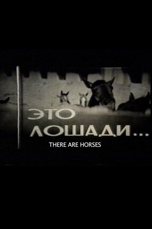 There Are Horses film afişi