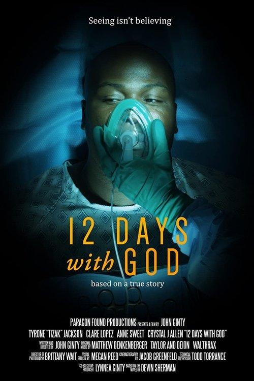 12 Days with God film afişi