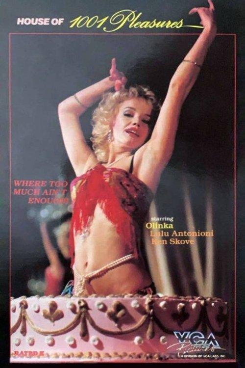 House of 1001 Pleasures film afişi