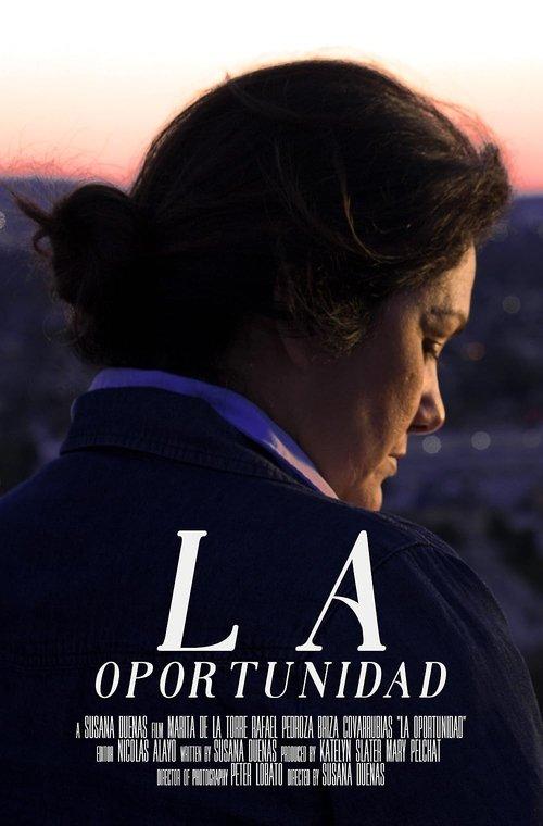 La Oportunidad film afişi