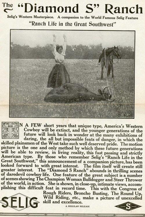 The 'Diamond S' Ranch film afişi