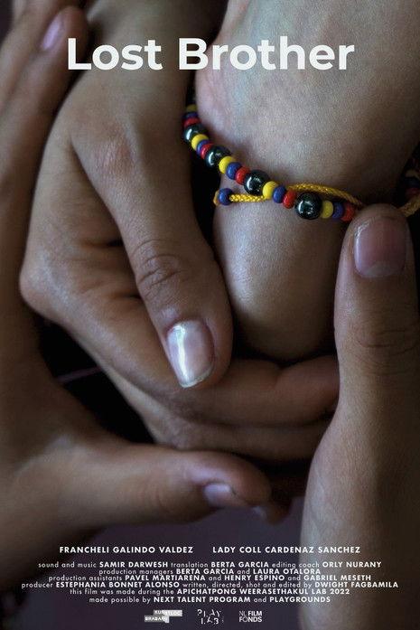 Lost Brother film afişi