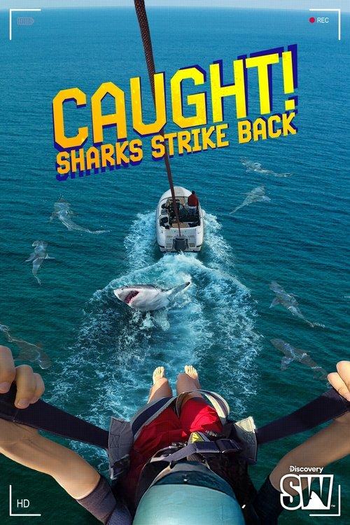 Caught! Sharks Strike Back film afişi