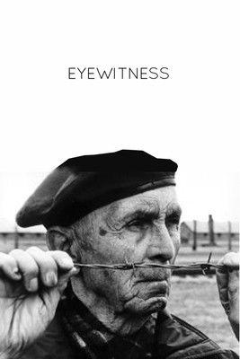 Eyewitness film afişi