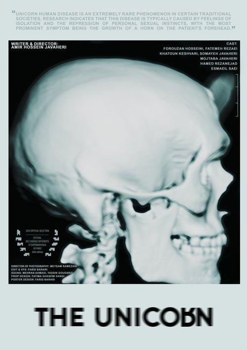 The Unicorn film afişi