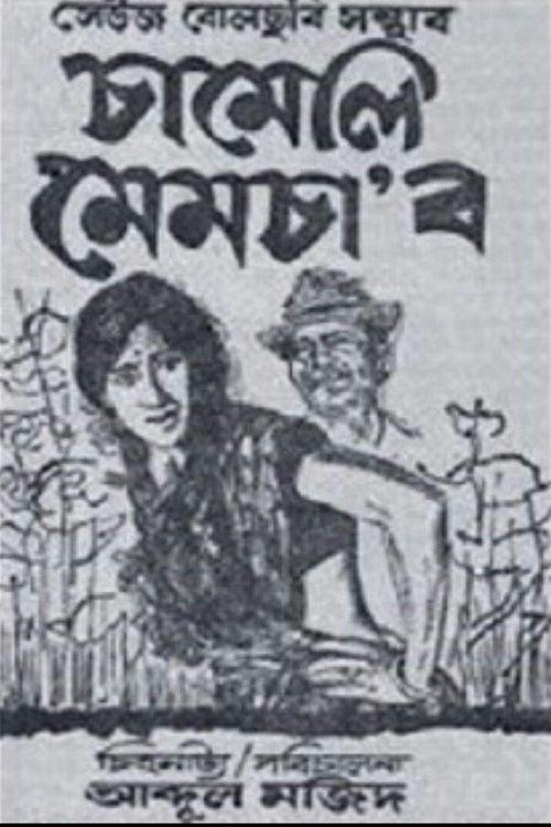 Chameli Memsaab film afişi