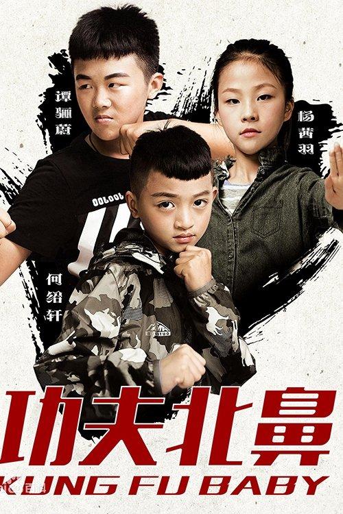 Kung Fu Baby film afişi