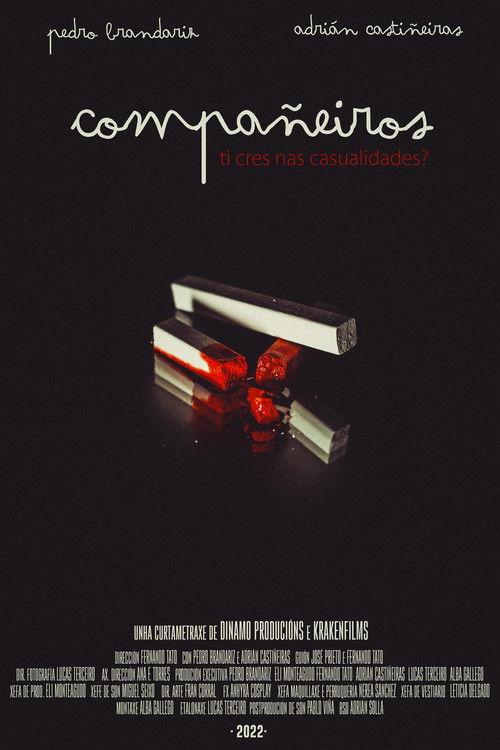 Classmates film afişi