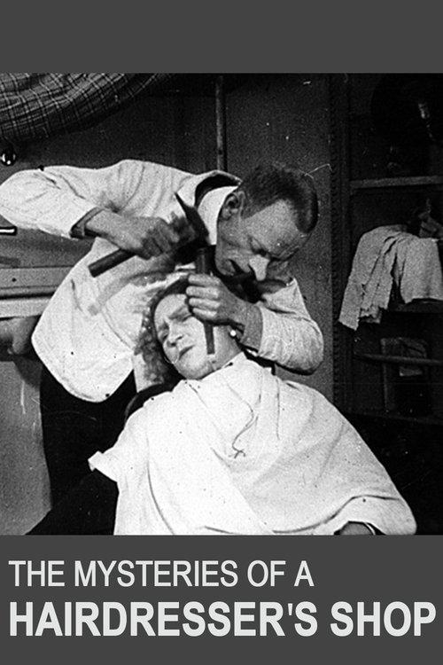 The Mysteries of a Hairdresser's Shop film afişi