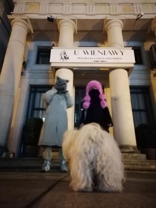 D'Vinci Testa Rosa Now film afişi