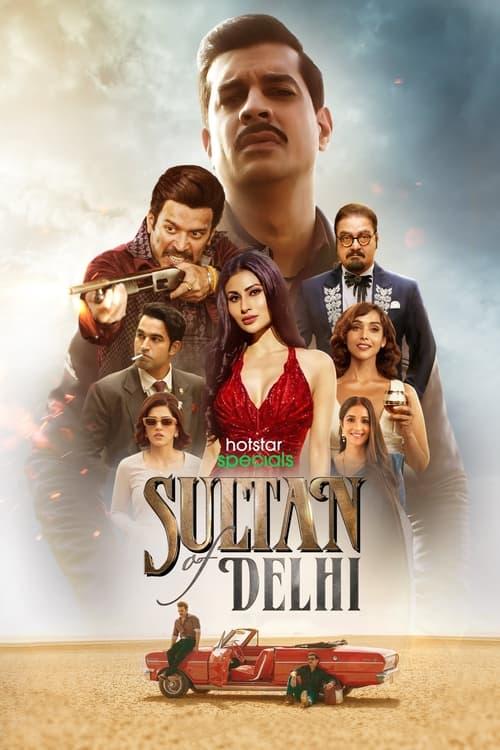 Sultan Of Delhi dizi afişi