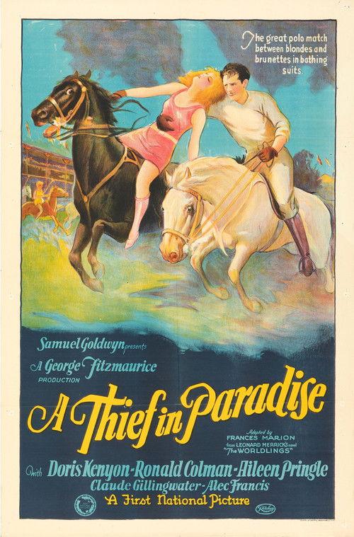 A Thief in Paradise film afişi