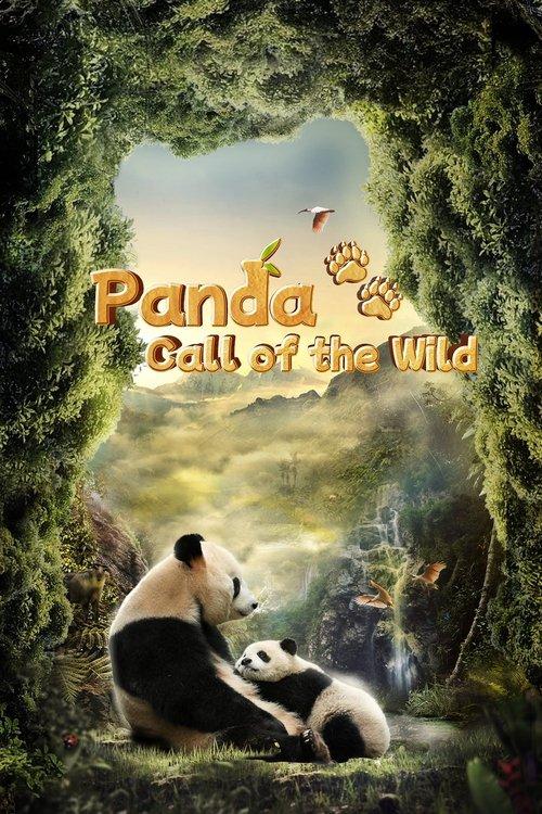 Panda: Call of the Wild film afişi
