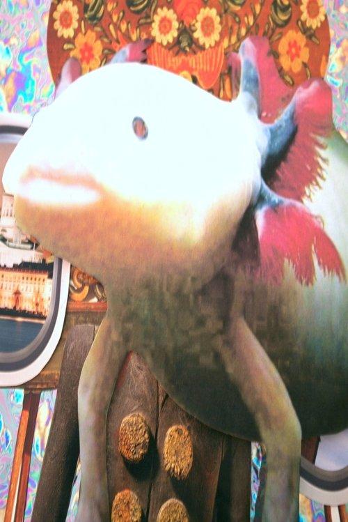 Norsk Folksang film afişi