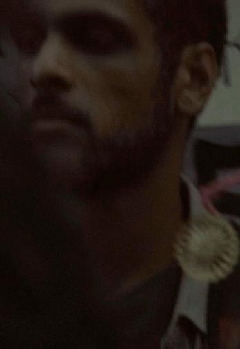 Diario ordinário film afişi