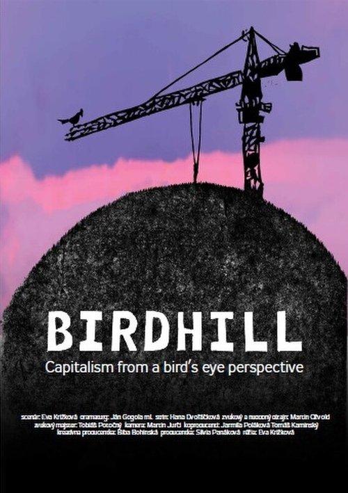 Birdhill film afişi
