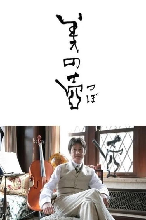 The Mark of Beauty dizi afişi