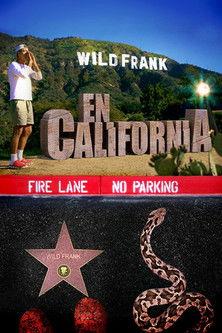 Wild Frank Sezon 9