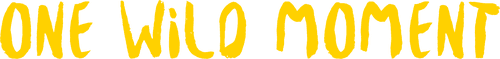 One Wild Moment logo
