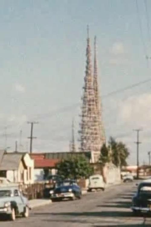 The Towers film afişi